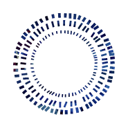 IDI Graphic